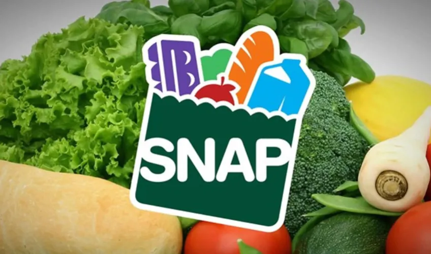 SNAP maryland food stamps