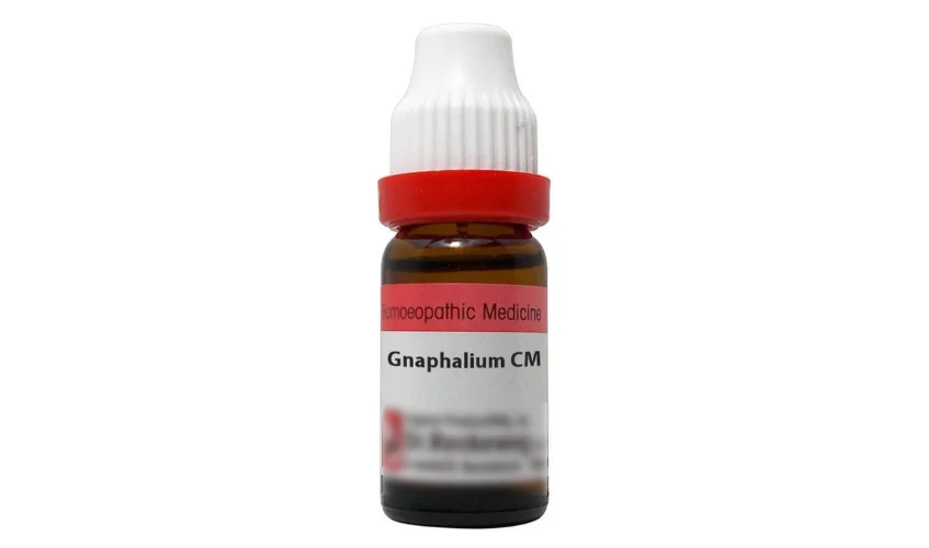 Gnaphalium homeopathic medicine