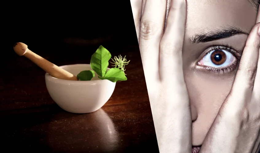 8 Best Herbal Remedies for Anxiety and Depression